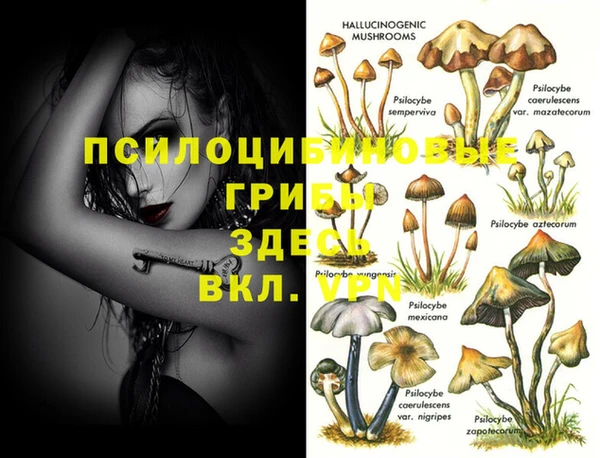 MESCALINE Алексеевка