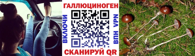 цены   Серов  Псилоцибиновые грибы Psilocybe 